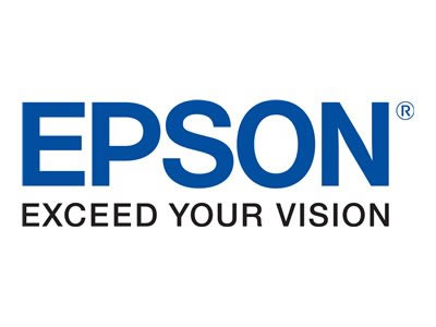 Epson C13t04q100